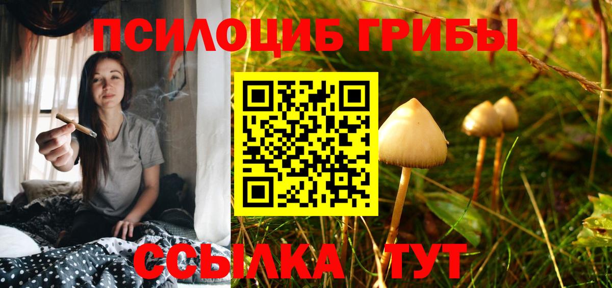 Торжок  Галлюциногенные грибы Psilocybe  Вход с VPN  Галлюциногенные грибы ЛСД 