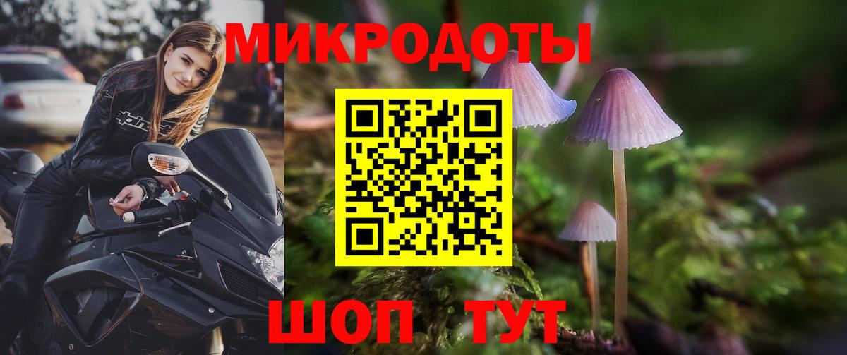 Галлюциногенные грибы Cubensis Торжок