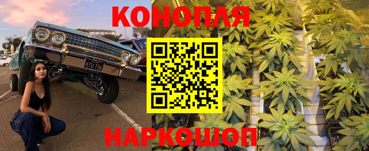 Бошки Шишки гибрид  МАРИХУАНА индика  Торжок  МАРИХУАНА планчик  Вход с VPN 